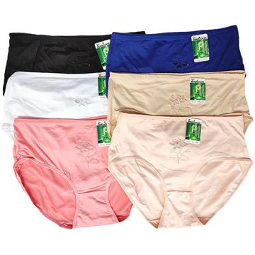 Immagine di HIGH WAISTED BAMBOO PANTIES XXXXL MORE COLOURS